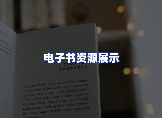 电子书资源展示