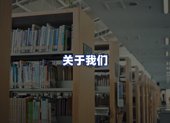 专业团队
